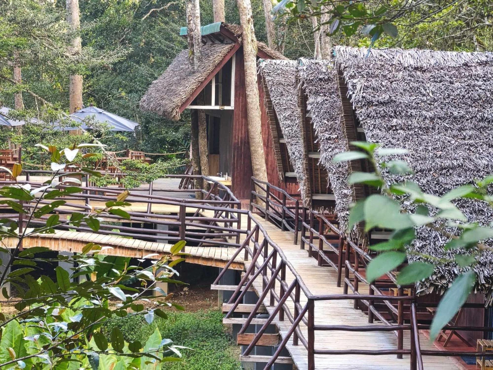 Longoza Ecolodge Andasibe Extérieur photo