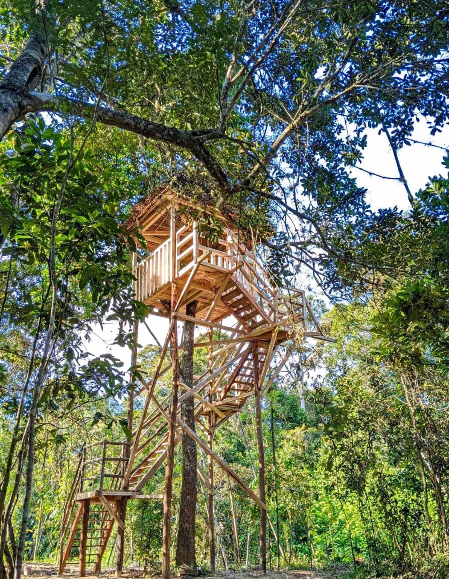 Longoza Ecolodge Andasibe Extérieur photo