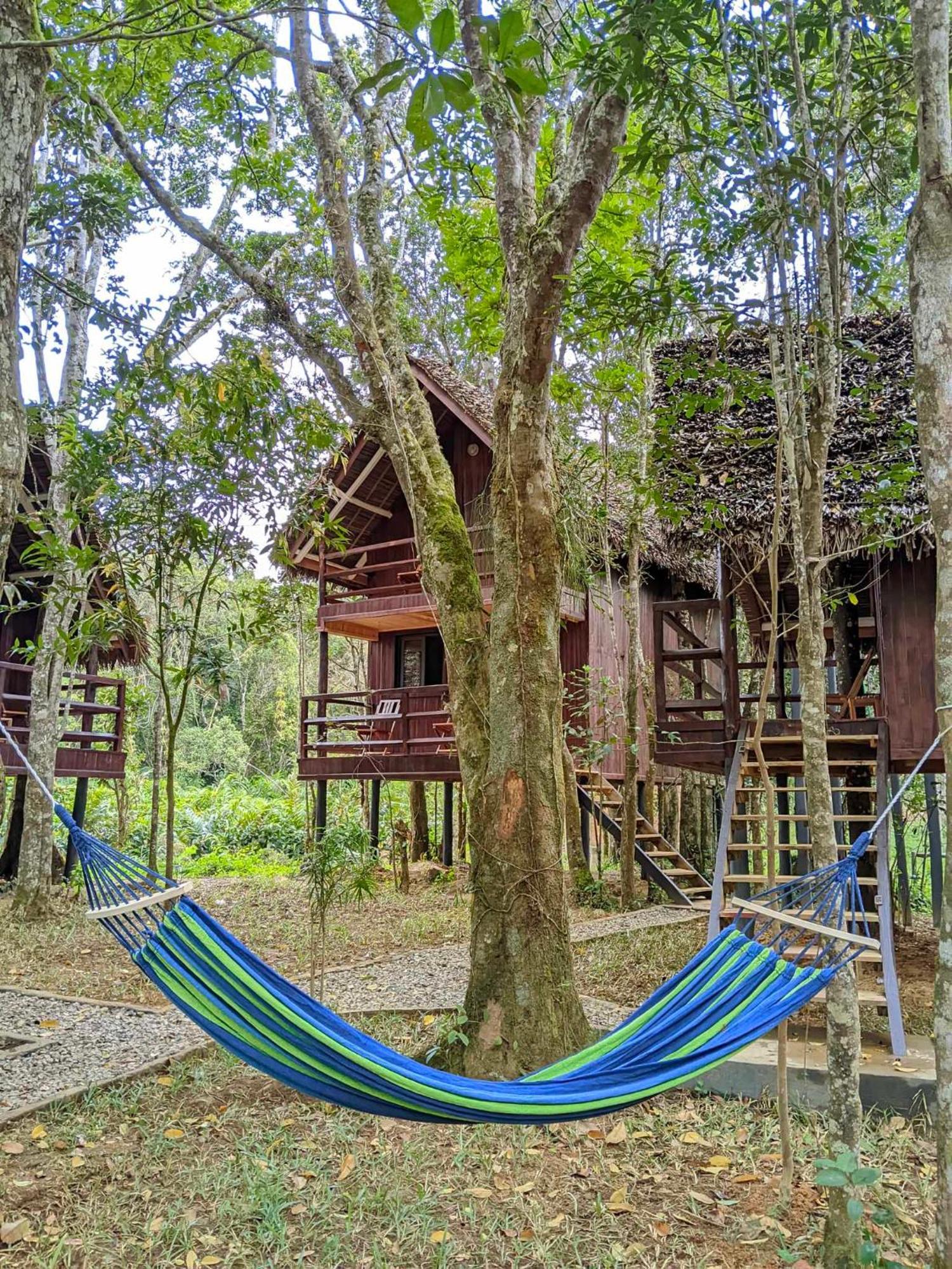 Longoza Ecolodge Andasibe Extérieur photo