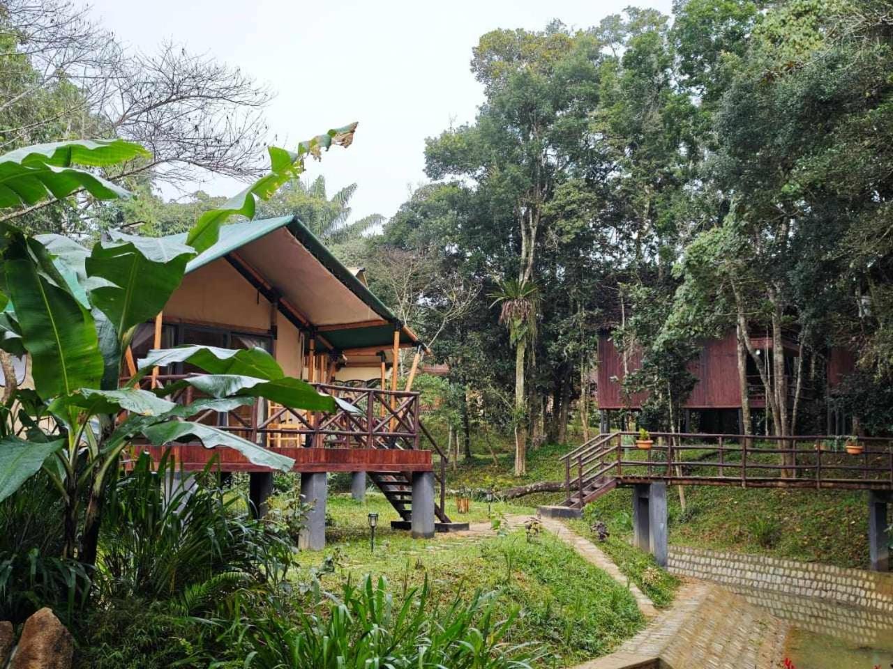 Longoza Ecolodge Andasibe Extérieur photo