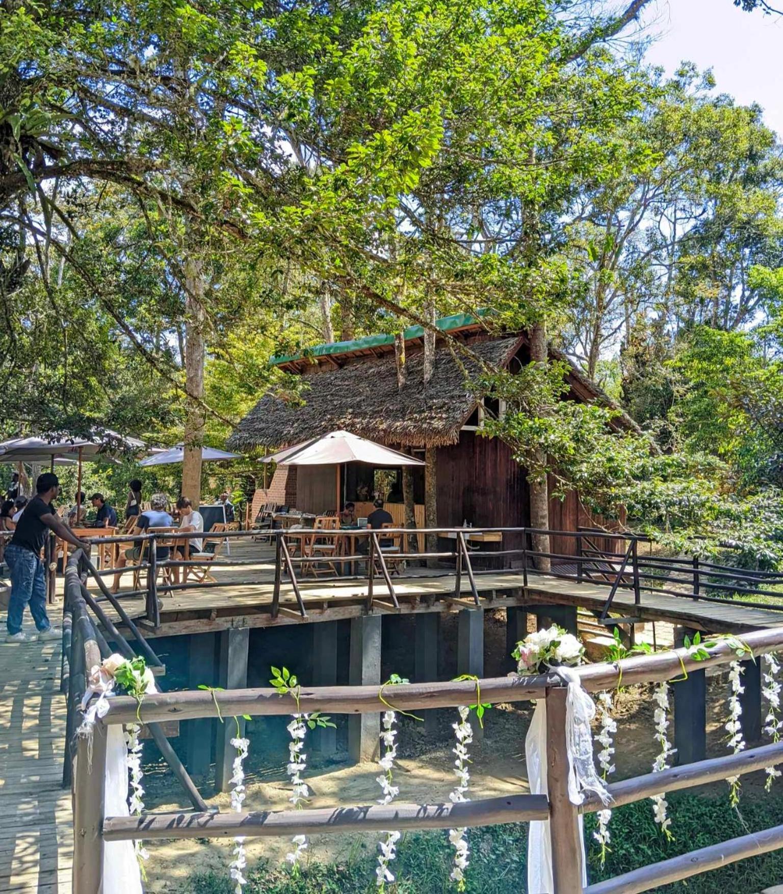 Longoza Ecolodge Andasibe Extérieur photo